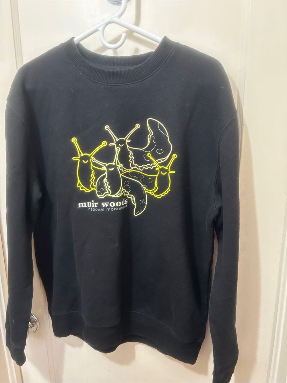 Muir Woods slug sweatshirt